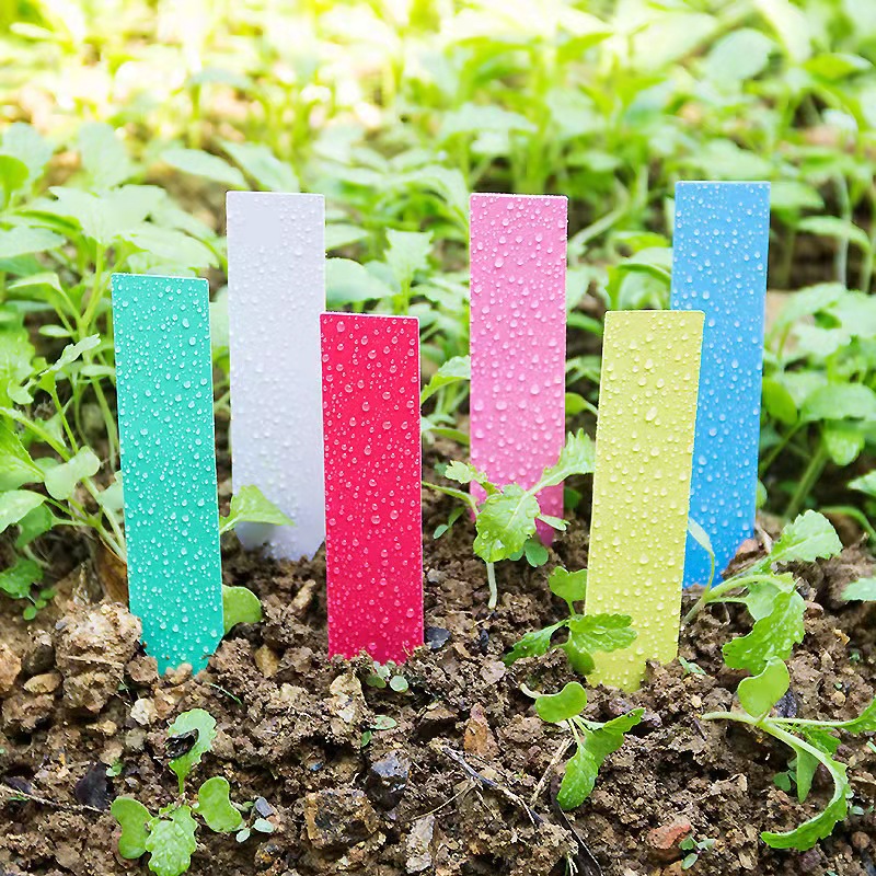 100Pcs Garden Plant Labels Pla – обзор и цена Embroidery Garden